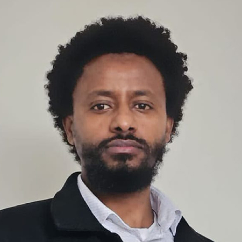 Hamid Hassen
